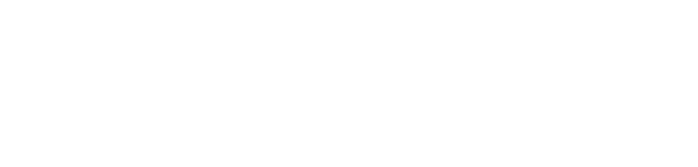 RAIP